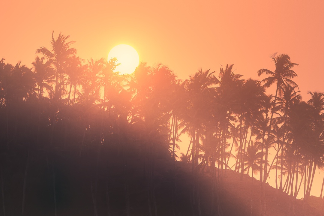 Bild für Lange Saunanacht